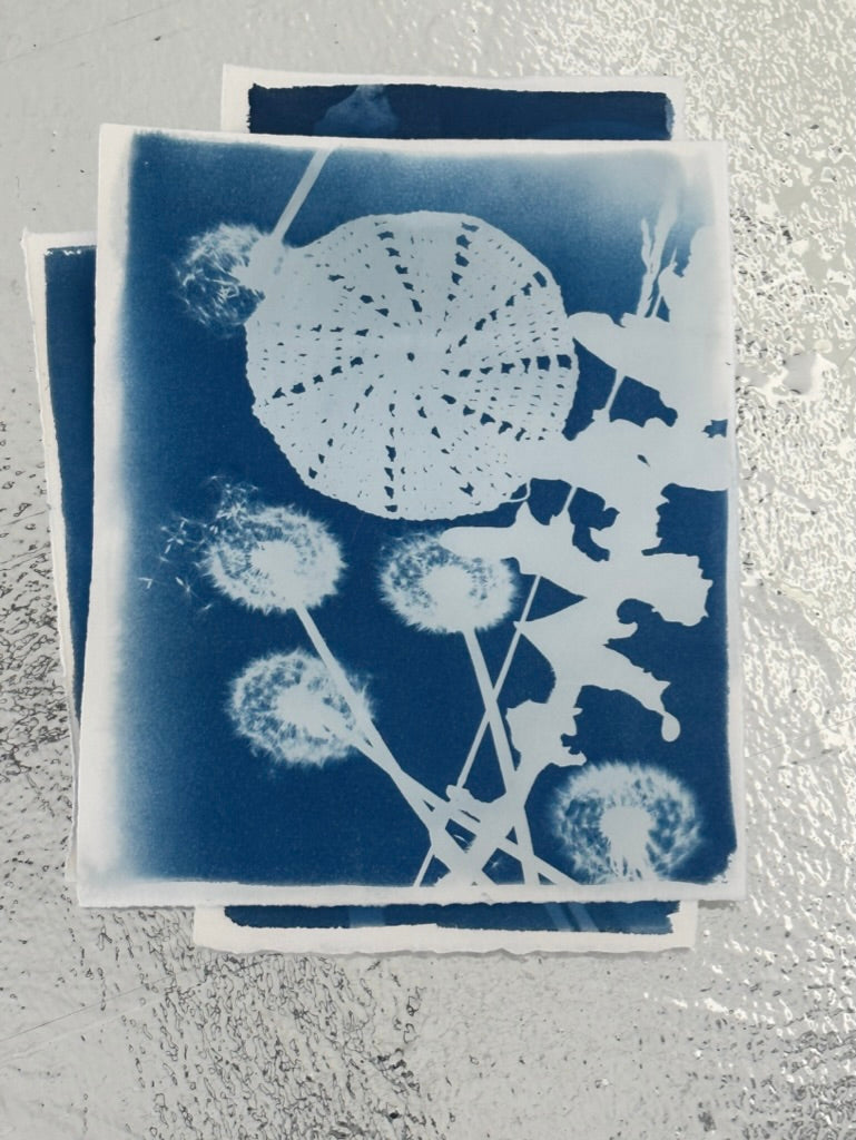 MEMOR STUDIO |  Cyanotype Printmaking