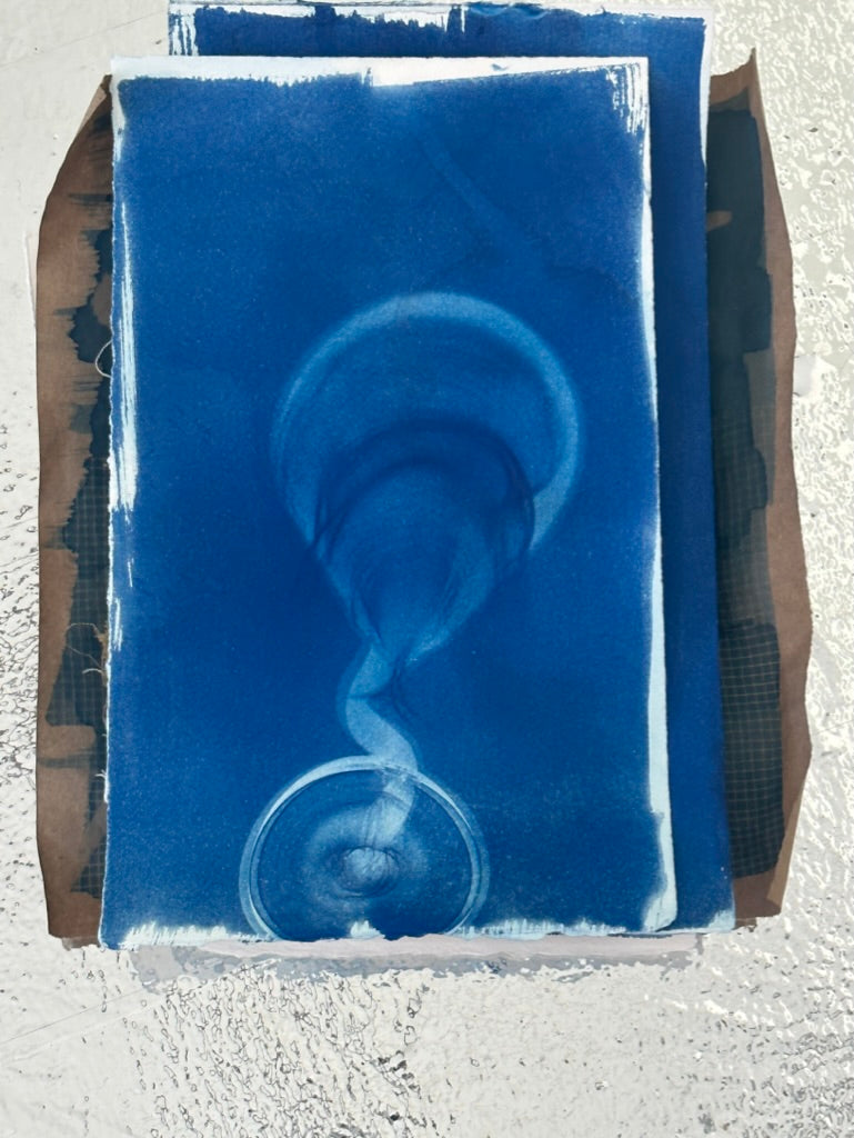 MEMOR STUDIO |  Cyanotype Printmaking