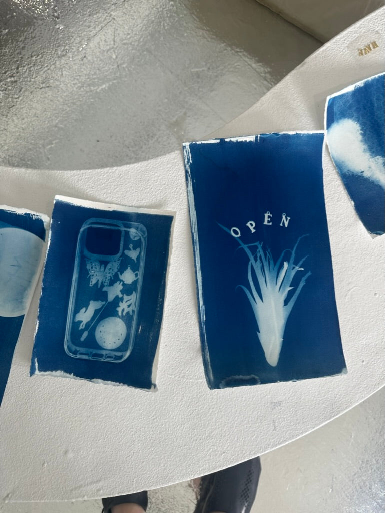 MEMOR STUDIO |  Cyanotype Printmaking