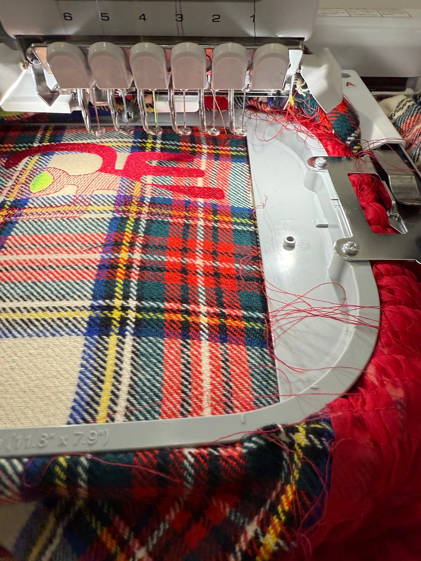 Fox Walks the Path of Love